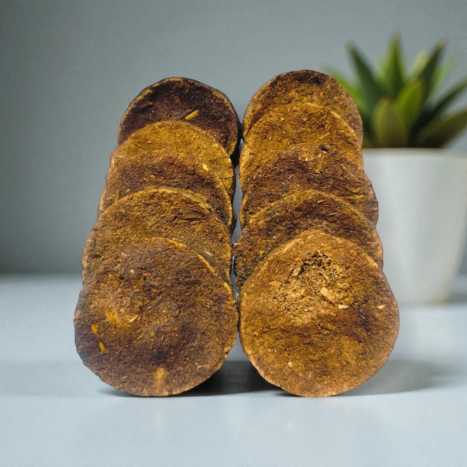 Hariaura Natural Cow Dung Cakes (Uple) – Set of 10 | Pure Gomay for Havan, Pooja, Agnihotra & Spiritual Rituals | Eco-Friendly & Traditional